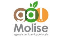 Molise Verso il 2000